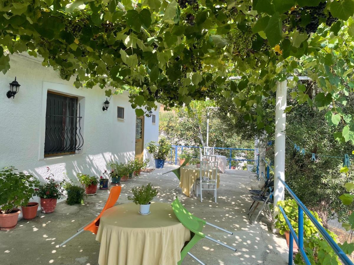 Piqeras Relax Guest House エクステリア 写真